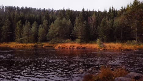 aerial, low, drone shot, between trees, over a tranquil river, surrounded by hills and foliage forest, on a foggy, autumn day, in flakk, aust-agder, south norway