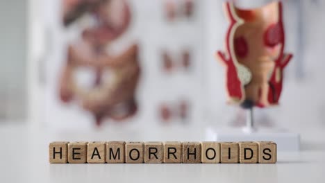 hemorrhoids anatomical model