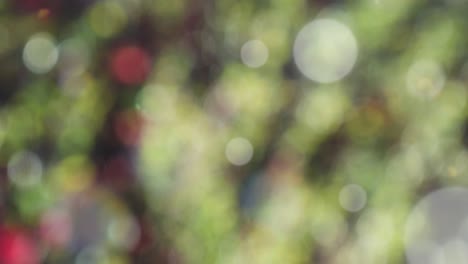 abstract spring background with bokeh