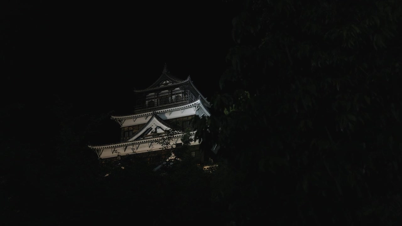 Castello di Hiroshima con alcuni alberi in primo piano di notte.