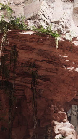 a close up of a rock formation in a jungle setting