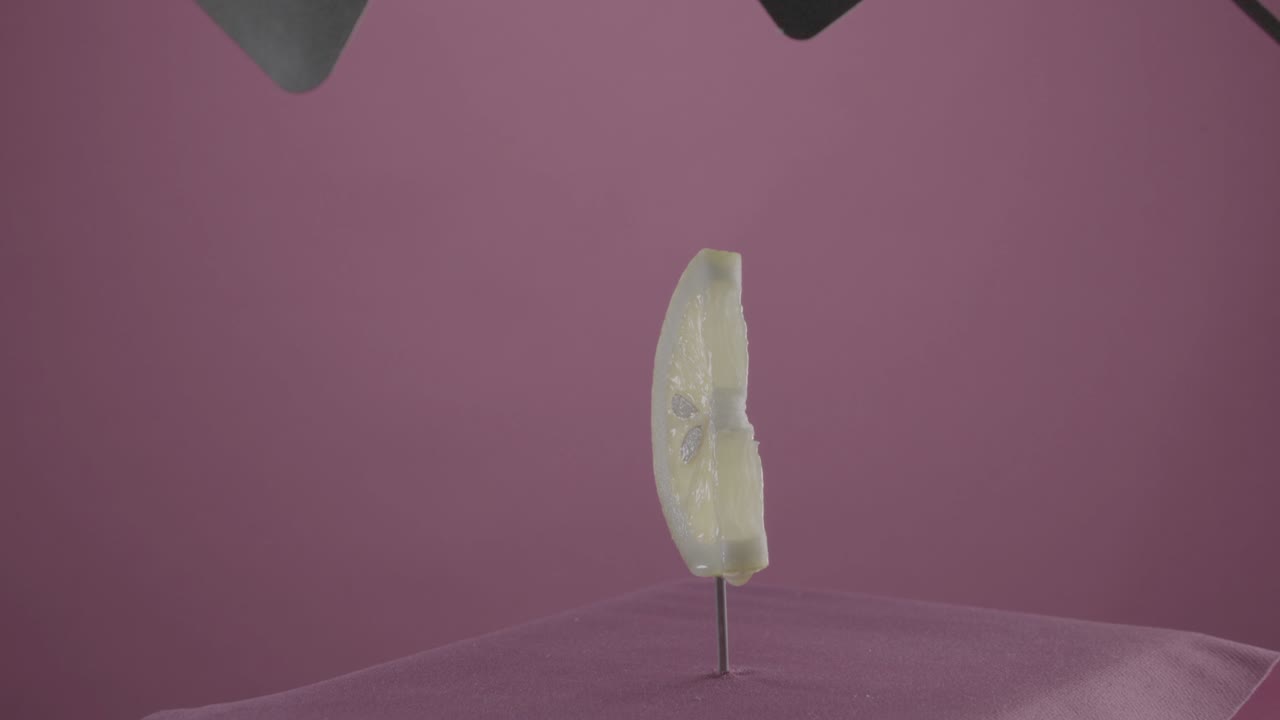 크로마 키에 대한 푸키아 스크린에 루프와 함께 회전하는 레몬