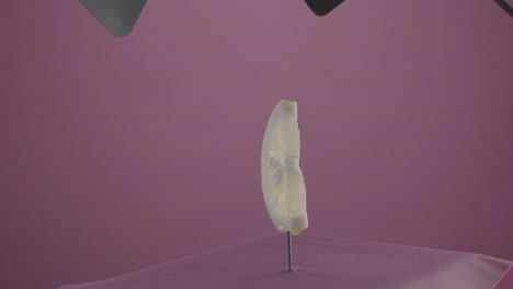 limón girando con bucle en la pantalla de fucsia para la llave de croma