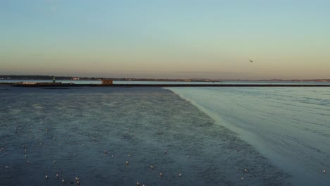 Aerial-over-flock-of-seagulls-at-Dublin,-Ireland-at-low-tide-during-sunset