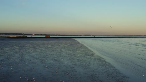 aerial over flock of seagulls at dublin, ireland at low tide during sunset
