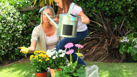 mother and daughter watering potted plants in the garden