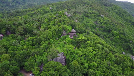 aerial view of the mountain, a rainforest and tropical house