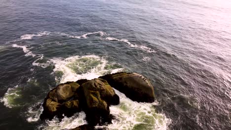 vuelo helicoidal grabando pelícanos en el mar con dji mini 2 en 4k full hd