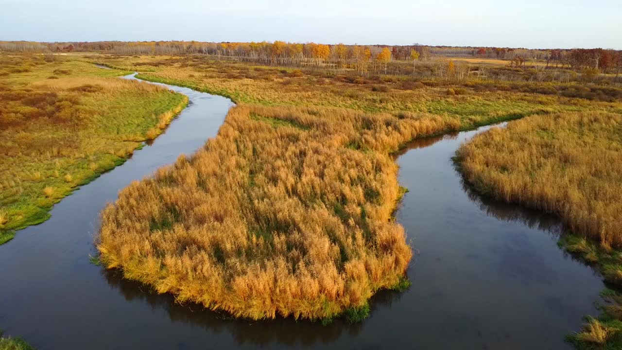 Wetland landscape at Shernburn Shelter with a meandering stream surrounded by tall golden grasses and fall-hued vegetation.