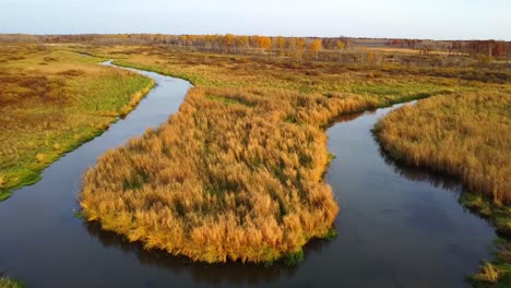 wetland landscape at shernburn shelter with a meandering stream surrounded by tall golden grasses and fall-hued vegetation.