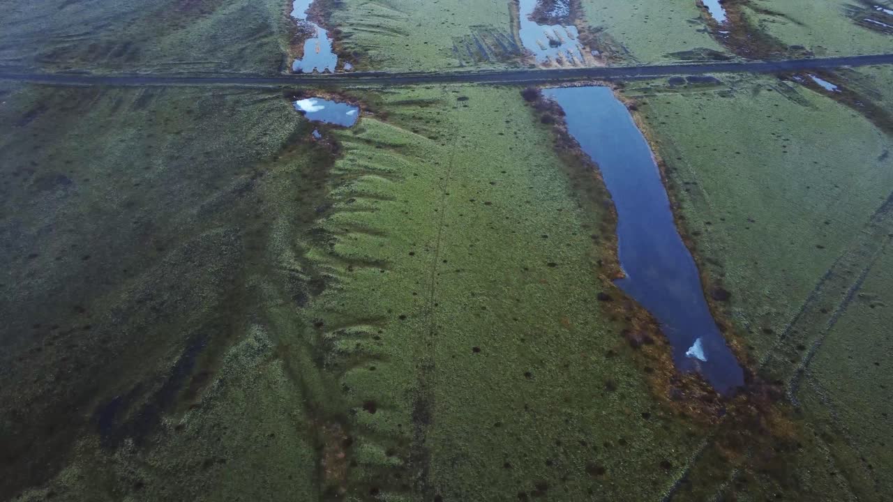 자연 속의 녹색 습지에서의 도로
