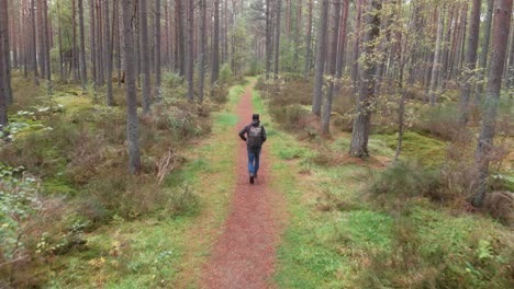 Toma-De-Drone-De-Un-Hombre-Caminando-En-Un-Bosque-De-Pinos,-Drone-Siguiendo-Al-Sujeto