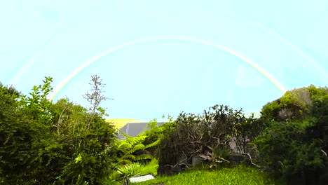 beautiful rainbow in the sky with green vegetations in the foreground during summer in taranaki, new zealand