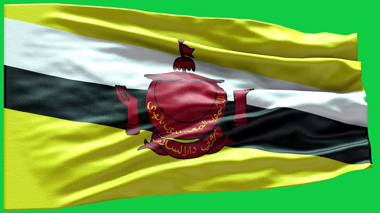 4k 매우 상세한 브루나이의 발 - 브루네이 발 높은 세부 사항 - 국가 발 브루나이어 파동 패턴 루프 가능한 요소