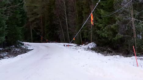 Stromleitungen-Durch-Wintersturm-Auseinandergerissen