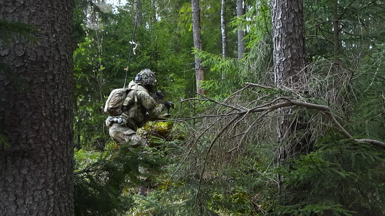 Rare video footage of a British camouflaged soldier taking cover behind some trees and branches in a dense and thick vibrant green pine forest during battle with his loaded automatic rifle weapon.