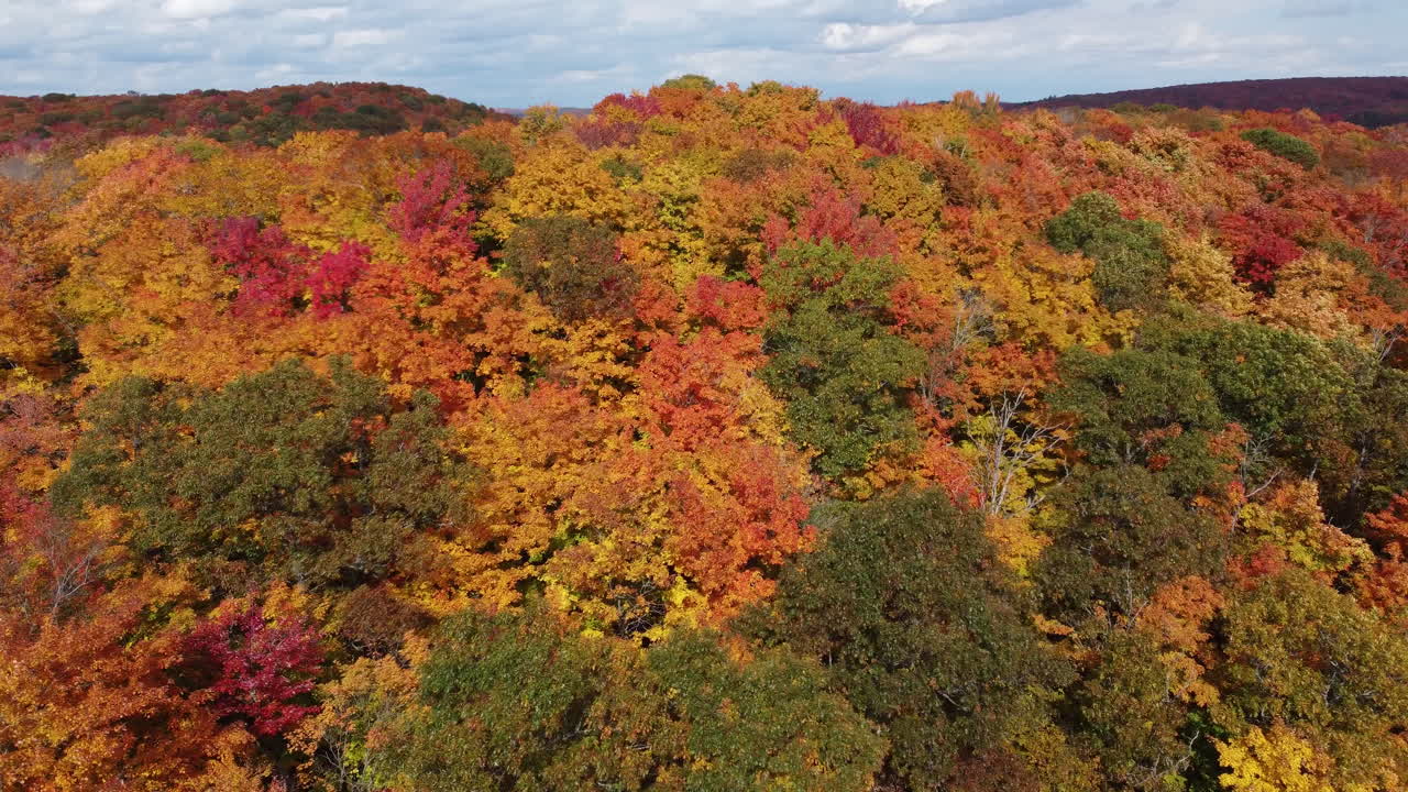 Drone flyover wild forest densely covered with beautiful autumn trees in various deciduous vegetations, capturing natural landscape of Algonquin Provincial Park, Muskoka Region, Ontario, Canada