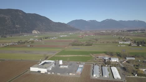 4K-Drone-Shot-of-Berry-farm