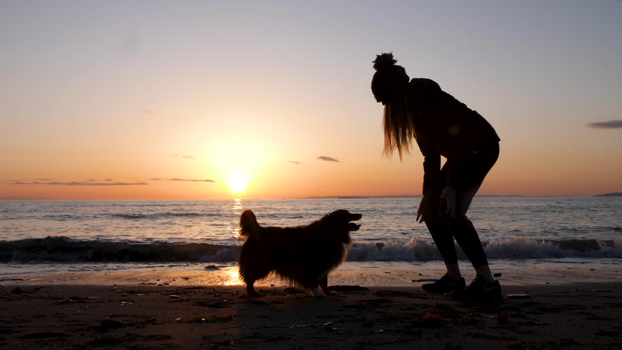 woman playing with her dog on the beach at sunset