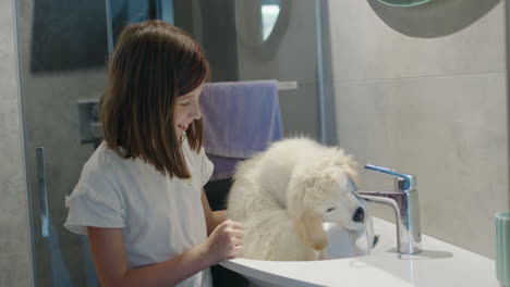 a child bathes a puppy in a washbasin, a naughty puppy drinks water from a tap