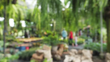 blurred of greenhouse shop with flowers at garden centre background