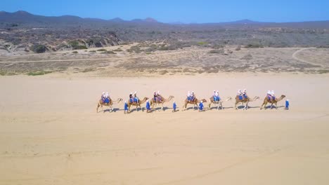 Menschen,-Die-Kamele-In-Der-Wüste-Am-Strand-Und-Meereswellen-Reiten---Silhouetten-Von-Kamelen---Drohnen-Luftumlaufbahn-Dynamischer-Schuss