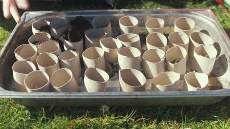 filling toilet roll cardboard tubes with compost for sowing seeds