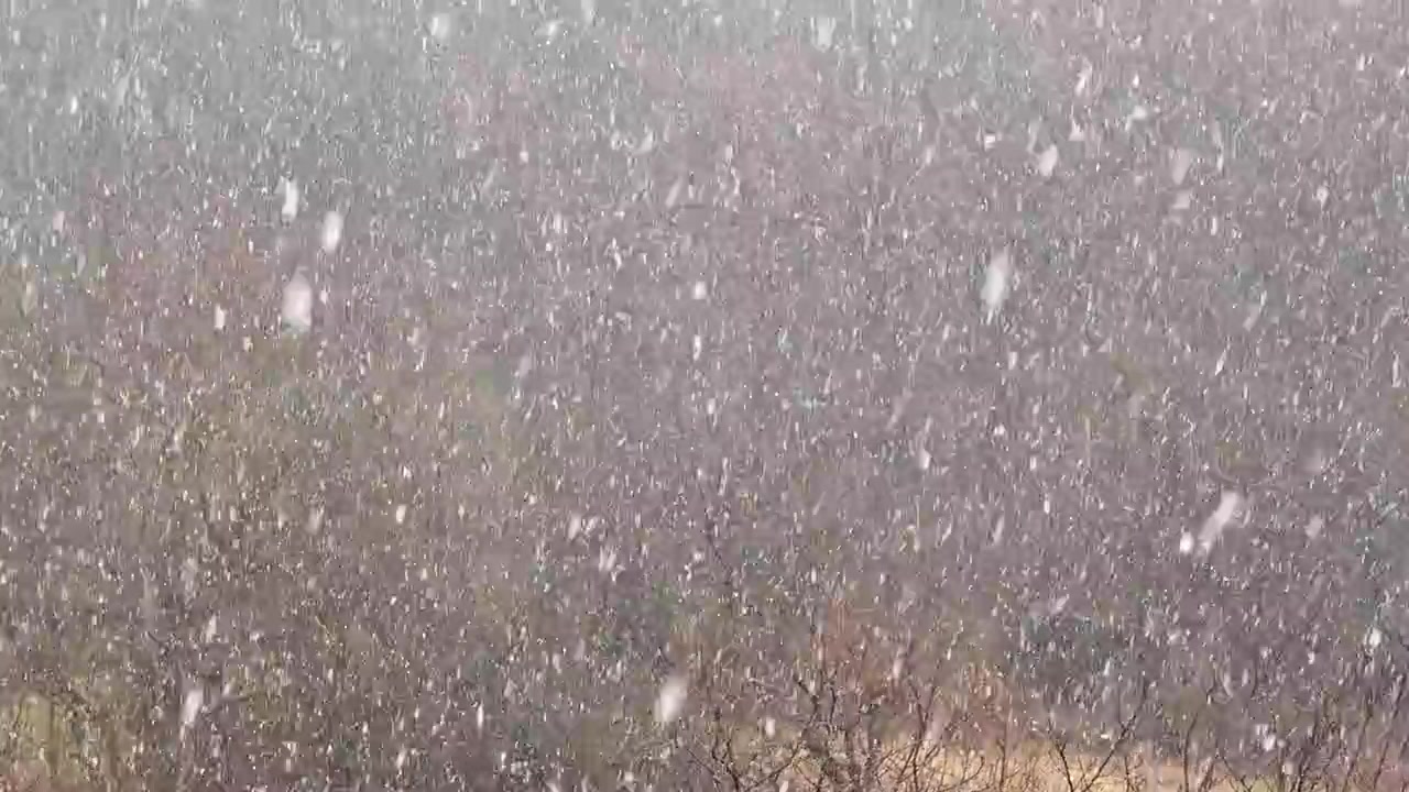 Ventisca en invierno