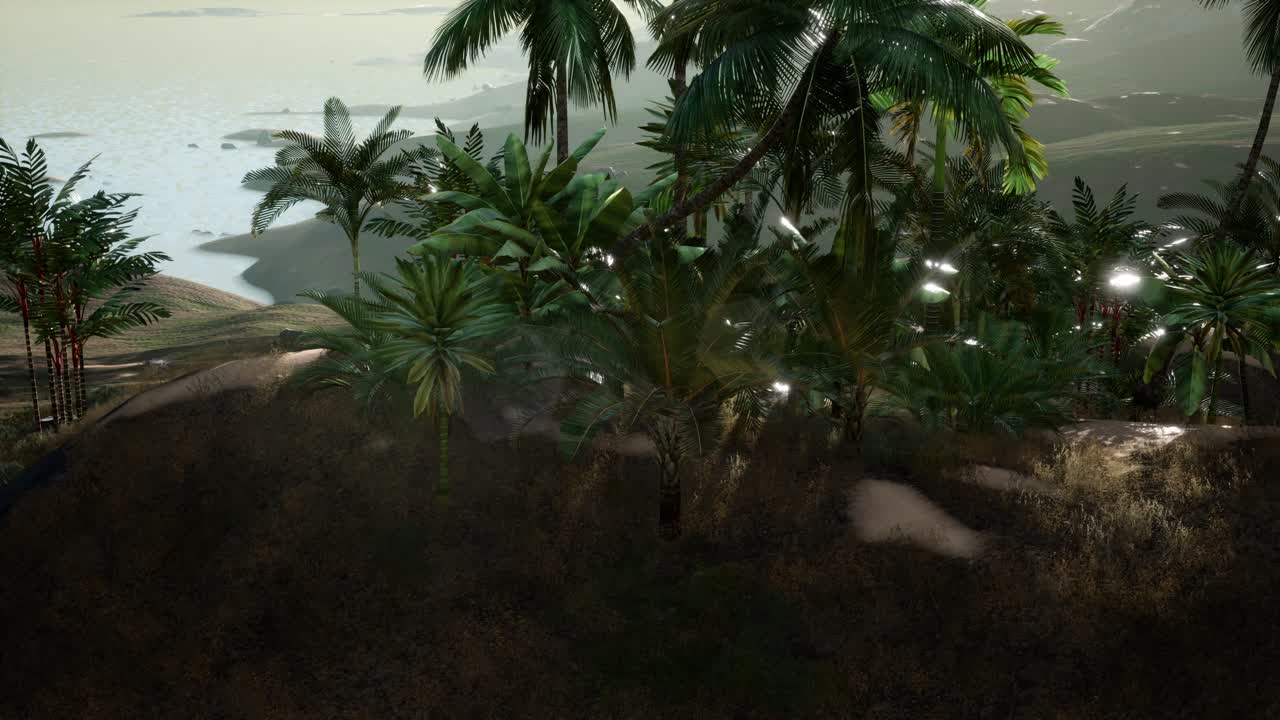 vista aérea de palmeras en dunas de arena cerca del mar