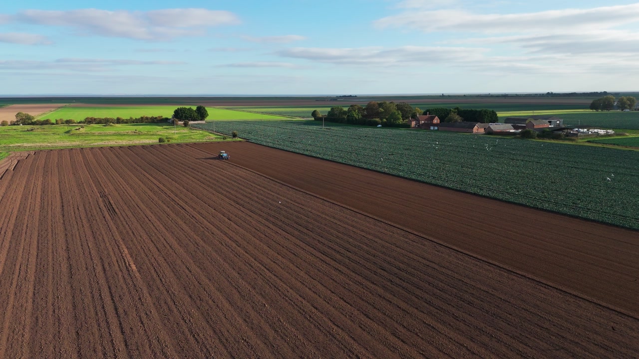 Aerial view of a green tractor plowing a field, cultivating land with a spike tooth harrow cutting, birds in the field looking for food. Summer sunset rural farmland, food production and crop harvest.