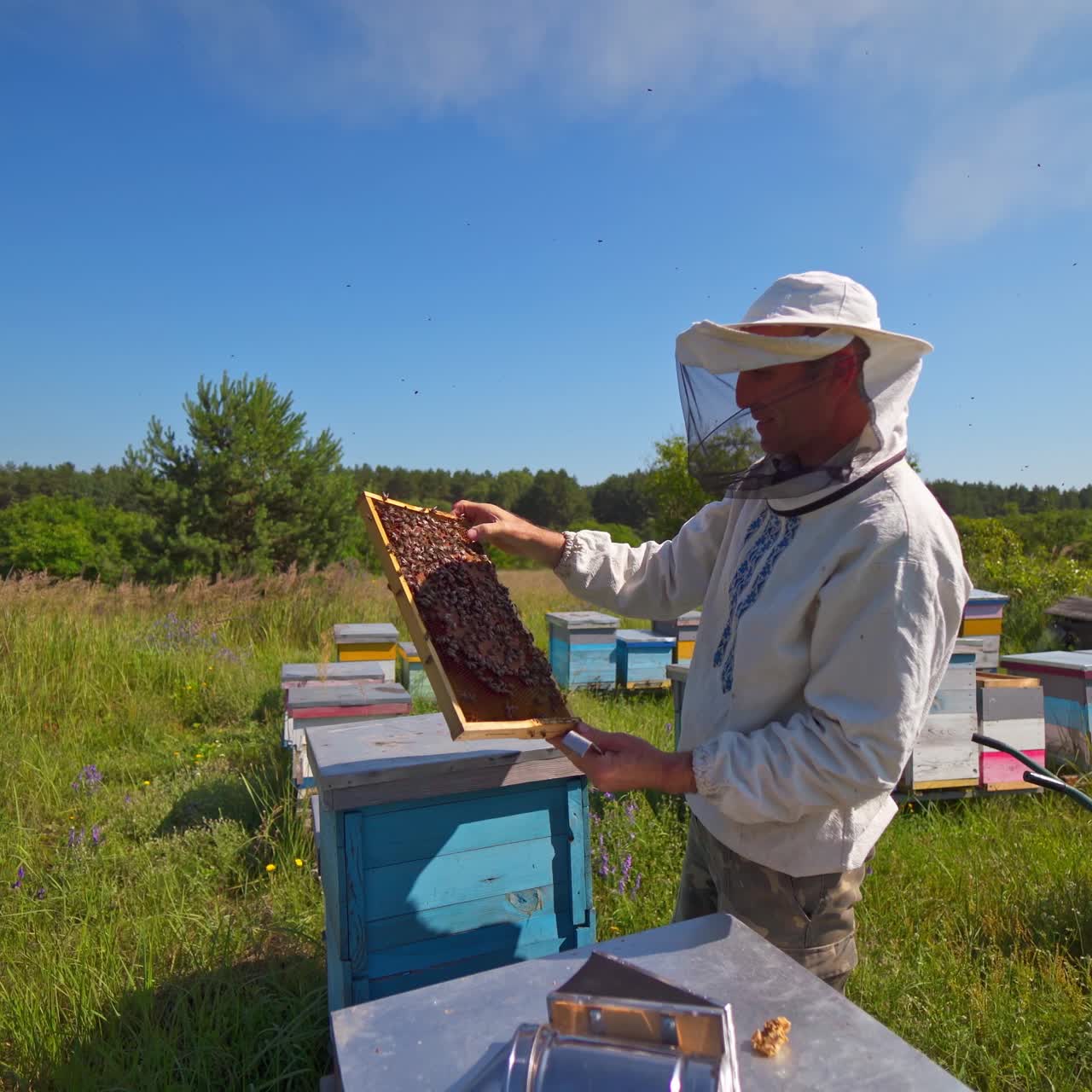Apiculture in the countryside. Beekeeper in protective hat looks at the frame with honey and bees crawling on it. Wooden hives in nature on village background.