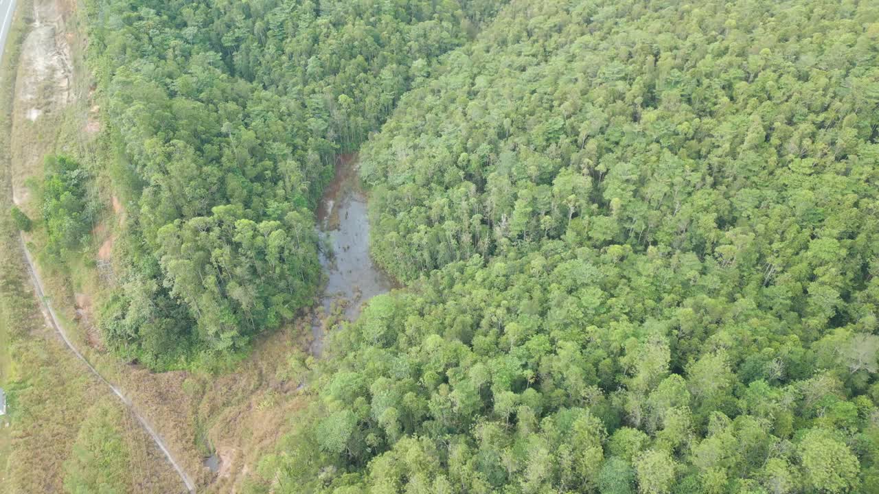 Aerial Drone View Of Sarawak Green Beautiful Forest During Raining Season,Asian Tropical Rain forest,Borneo.