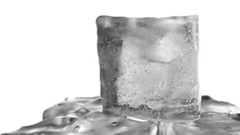 rotación en bucle de cubos de hielo sobre un fondo blanco aislado