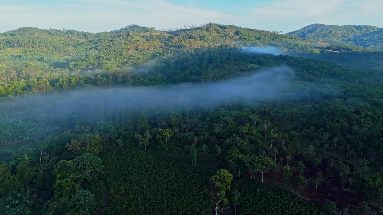 Drone che vola sopra il Parco Nazionale Montana La Humeadora, foresta e montagna con nuvole basse, Repubblica Dominicana. Vista aerea