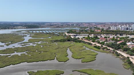 drone shot flying in over a green daelta landscape by the river soth of almada