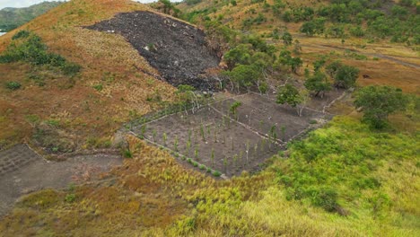 Verbrennung-Von-Savannengrasland-Für-Die-Gartenarbeit-Im-Küstentiefland