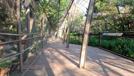 a serene walk inside a birdcage exhibit