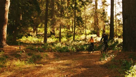 mountain biking couple riding in the forest