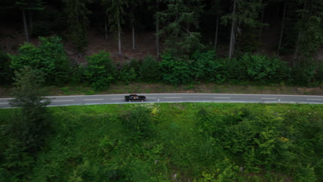 drone tracking a black muscle car driving on a forest road, dark, cloudy day
