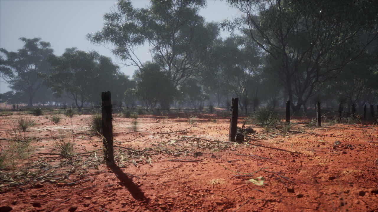 vieja valla de alambre de púas rural con postes de madera