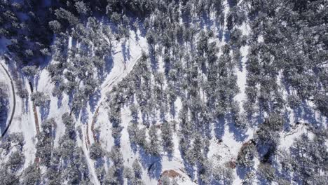 Forest-and-Dirt-Roads-in-Boulder-Canyon,-Colorado---Aerial-Drone-Footage---Daytime