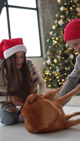 couple with a dog on christmas