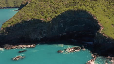 árboles, bali, mar azul, nusa penida, fotografía de drones, viajero, olas rompiendo, toma aérea, fotografía aérea, vida en la isla, asia, playa de drones, activo, de marea, caminata, retrato