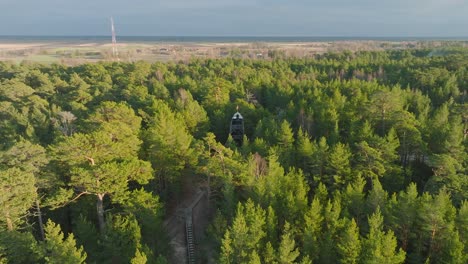 Luftaufnahme-Eines-Modernen,-Bootförmigen-Aussichtsturms-Mitten-Im-Kiefernwald,-Nordischem-Waldgebiet,-Waldweg,-Sonnigem-Abend,-Goldenem-Stundenlicht,-Weitem-Drohnenschuss,-Der-Sich-Vorwärts-Bewegt,-Nach-Unten-Geneigt