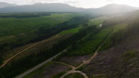 Abholzen-Von-Kahlschlägen-Auf-Einem-Berg-In-BC