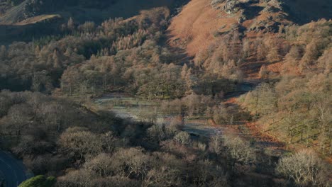 autumn woodland with reveal of mountainside bathed in dawn light