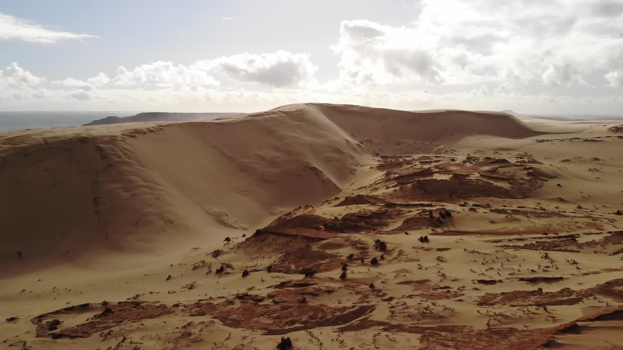 상징적인 황금 모래 거대한 모래 언덕 90 마일 해변 공중 후퇴 매력 자연에 의해 만들어진, 뉴질랜드