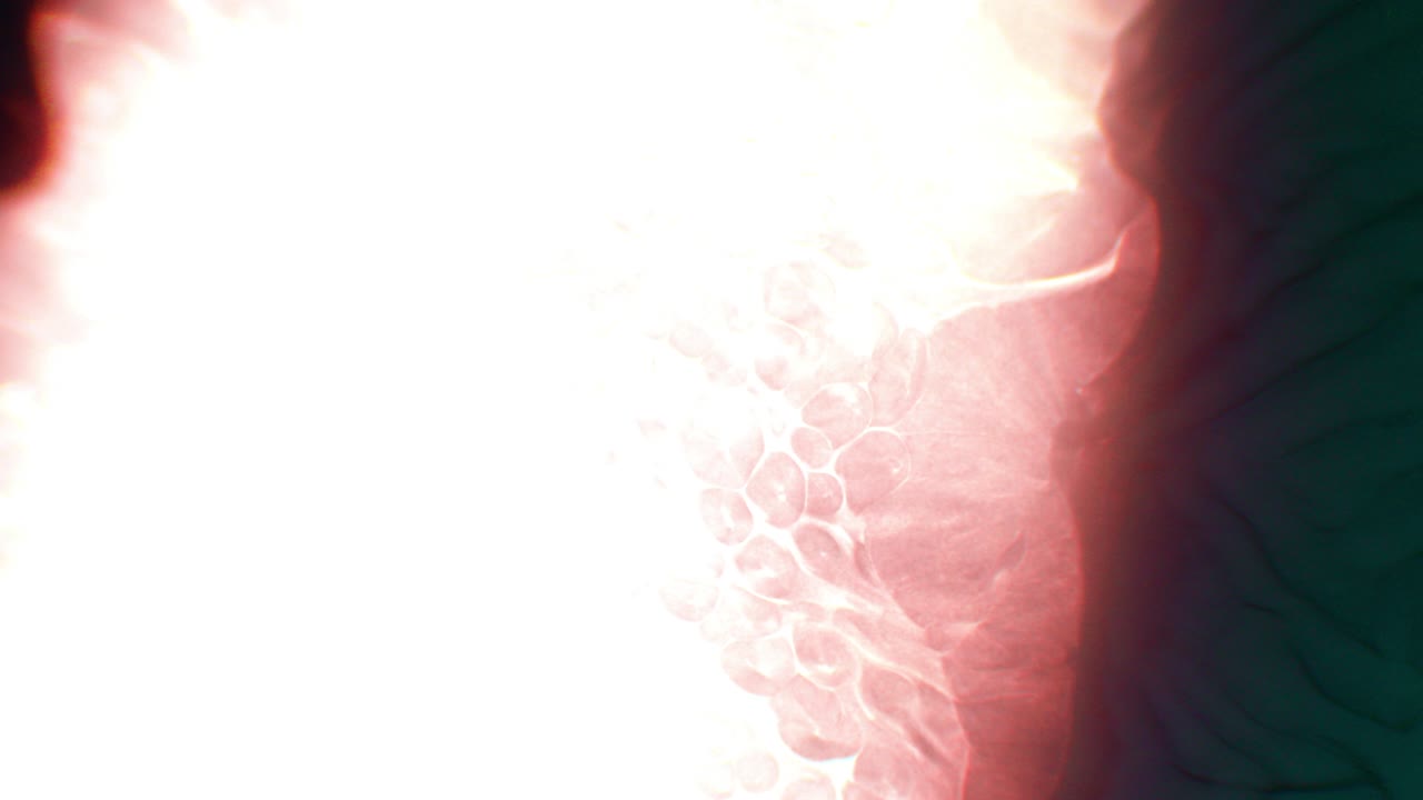 agujero negro fuego volcánico lava magma tierra roca del suelo se derrumba y se rompe y se cierra engullendo la estrella sol supernova