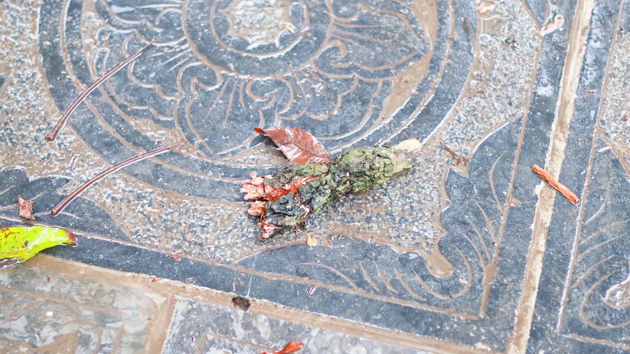 Leaves and debris on ornate temple tiles