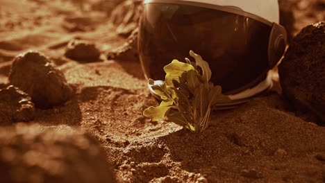 Primer-Plano-De-Un-Casco-De-Astronauta-Futurista-Colocado-En-El-Suelo-Con-Tierra-Roja-Y-Una-Planta-Cerca